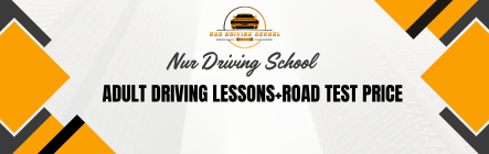 adult driving lessonsroad test price